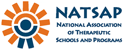 NATSAP Logo