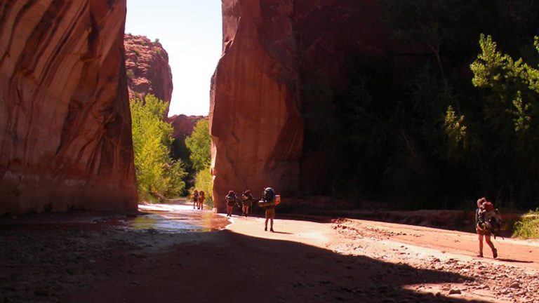 blog - Aspiro Wilderness Adventure Therapy How to Develop Grit: Perseverance and Passion for Long-term Goals | Aspiro Adventure Therapy