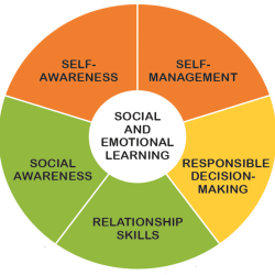 Social and emotional learning-CASEL Wheel | Aspiro Adventure Therapy